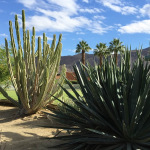 Open Thread: Week 14