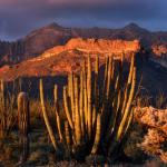 Moving Away From Rules